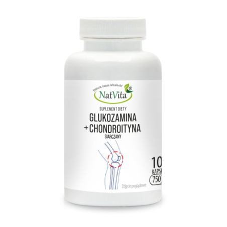 Glukozamina + Chondroityna 2:1 kapsułki 750mg - zdjęcie produktu