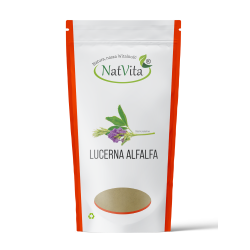 Lucerna Alfalfa mielona