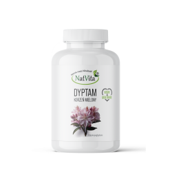 Dyptam korzeń mielony