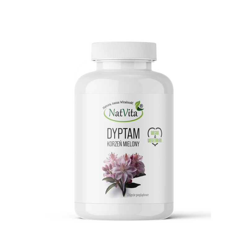 Dyptam korzeń mielony