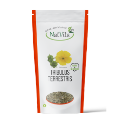 Tribulus terrestris pocięty