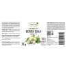 Morwa Biała ekstrakt 4:1 kapsułki 550mg - thumbnail do zdjęcia produktu