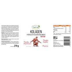 Kolagen Muscle - peptydy, hydrolizat białek kolagenowych proszek